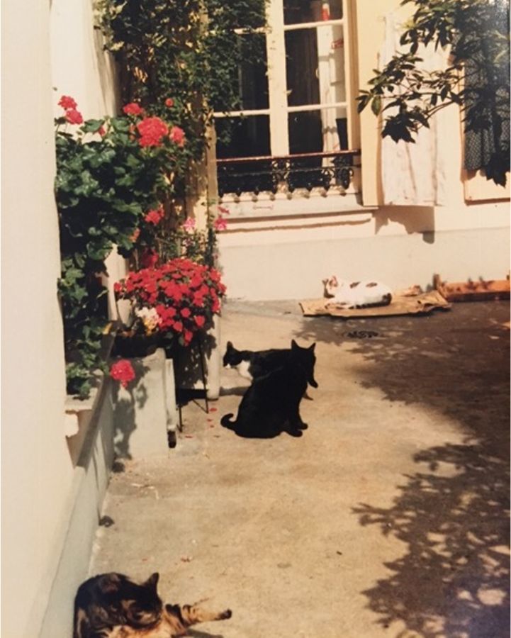 H&ocirc;tel Muguet
